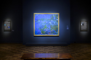 Monet's Waterlilies Monet's Waterlilies