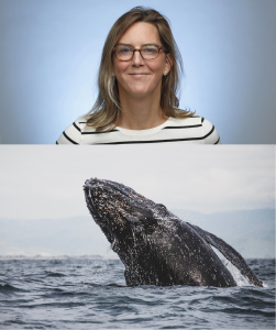 Top photo courtesy of 3BL Media - Bottom photo by Andre Estevez