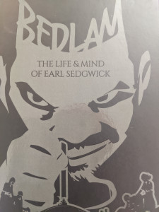 BEDLAM book cover