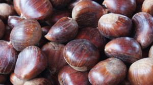 closeup image of chestnuts in a pile