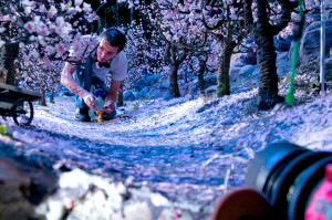 Coraline (Behind The Scenes), Animator Chris Tootell guides Coraline through an orchard of popcorn blossoms. CORALINE ©2009, LAIKA, LLC Coraline (Behind The Scenes), Animator Chris Tootell guides Coraline through an orchard of popcorn blossoms. CORALINE ©2009, LAIKA, LLC