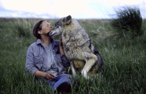 Dr. Susan Eirich with wolf at EarthFire Sanctuary Dr. Susan Eirich with wolf at EarthFire Sanctuary