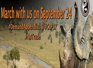 Global March for Elephants and Rhinos