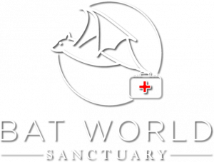 Bat World Sanctuary