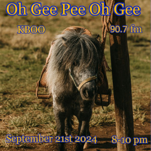 a saddled pony with bit in his mouth is tethered to a pole