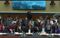 Witness Panel Witness Panel